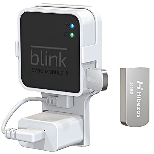 How can you access the footage stored on the USB from the Blink Camera?