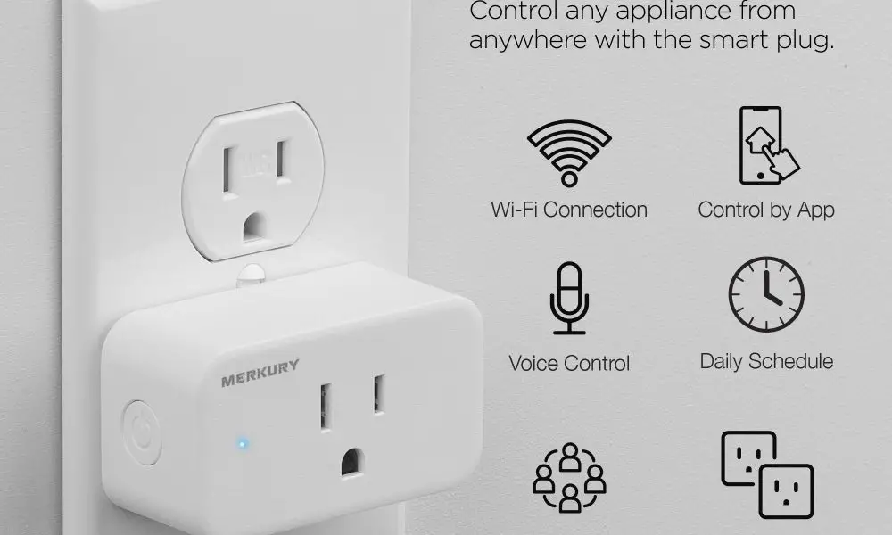 plugs