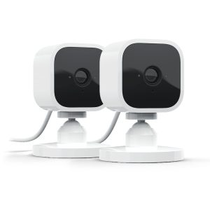Blink Mini different from the Blink Indoor in terms