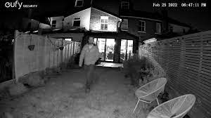 Blink camera - night 