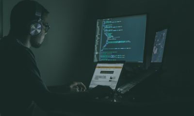 person using laptop computers