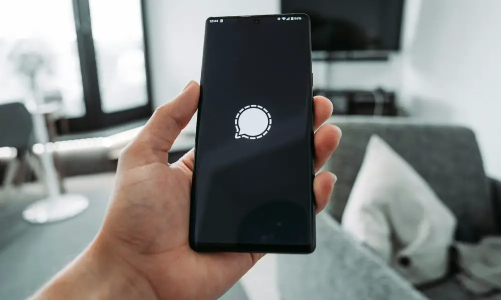 a hand holding a phone