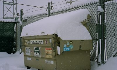 How To Choose Between Different Types of Dumpsters?