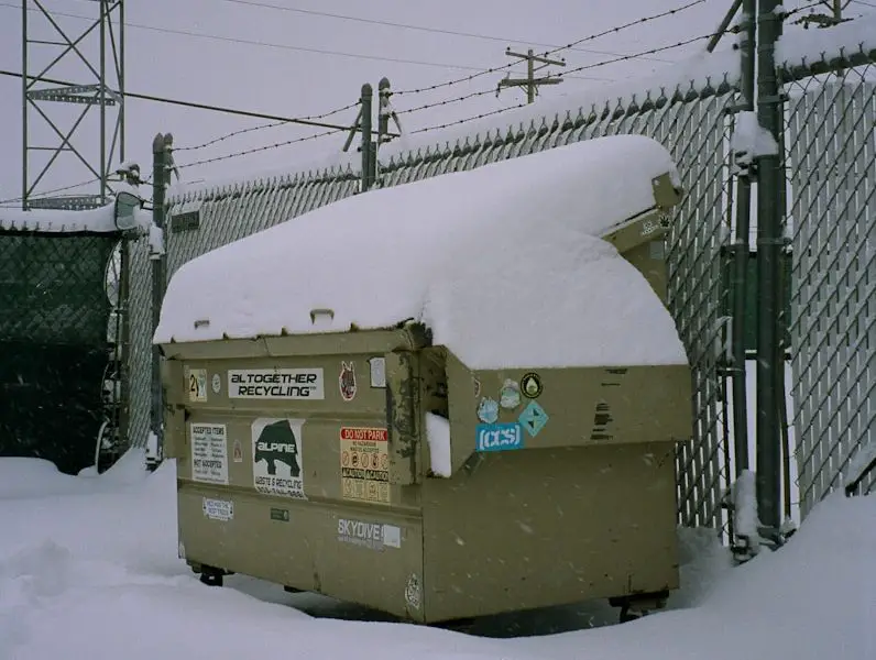 How To Choose Between Different Types of Dumpsters?