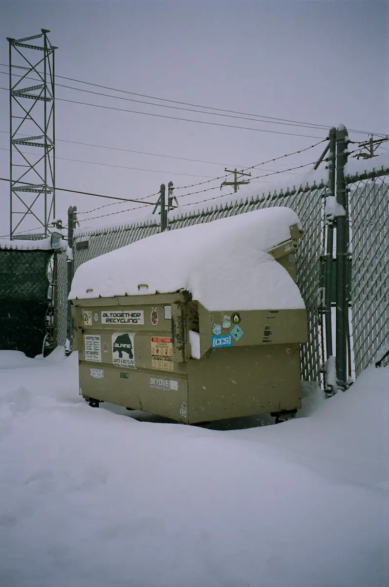 How To Choose Between Different Types of Dumpsters?