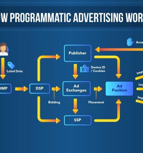 What Is Programmatic Advertising & How to Use It Effectively