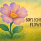 Boylecheloid Flower: Myth, Meaning & Its Real Identity