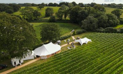 A scenic aerial view over a vineyard with white event tents set among lush green rows of vines.