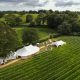 A scenic aerial view over a vineyard with white event tents set among lush green rows of vines.