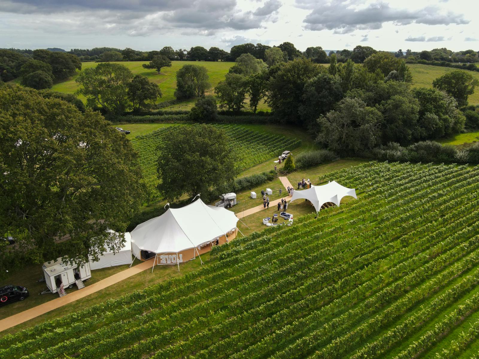 A scenic aerial view over a vineyard with white event tents set among lush green rows of vines.