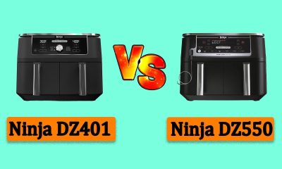 Ninja DZ401 vs DZ550: Which DualZone