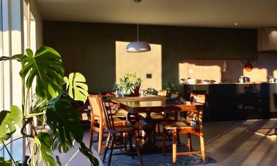 a room with a table and chairs and a potted plant