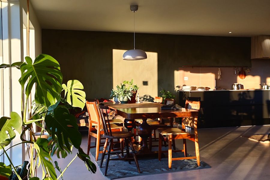 a room with a table and chairs and a potted plant