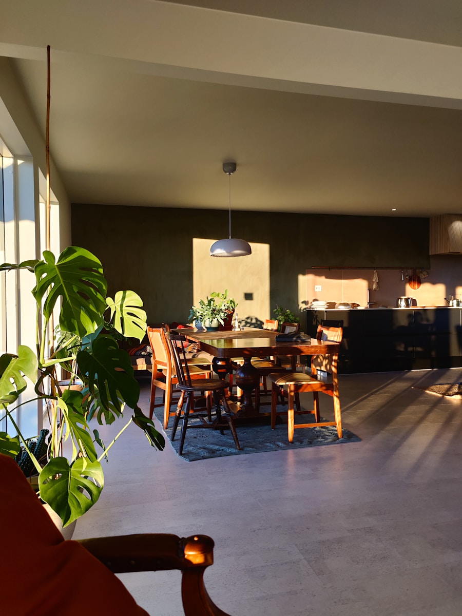 a room with a table and chairs and a potted plant